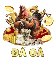 Mẹo tối ưu hóa ưu đãi K9CC