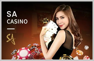 Chương trình VIP K9CC